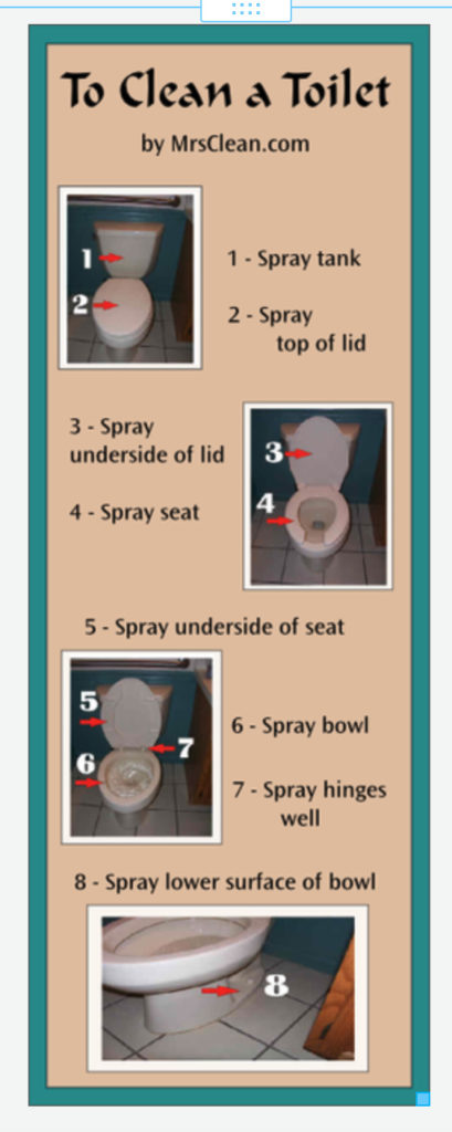 directions to clean a toilet