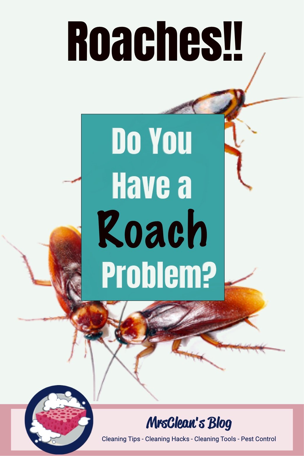 Do You have Roaches? MrsClean